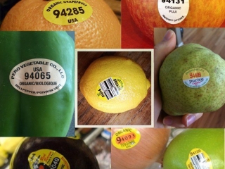 In tem nhãn trái cây nhằm tăng giá trị sản phẩm 