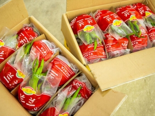 Tem nhãn dán trái cây thông minh và vai trò quan trọng trong quản lý chuỗi cung ứng thực phẩm