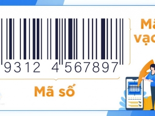 Tem Barcode là gì? Ý nghĩa và tác dụng của tem Barcode?