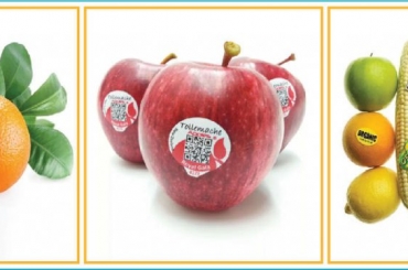 TOP 3 mẫu in sáng tạo tem dán trái cây xuất khẩu 