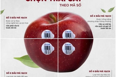 Mẫu tem barcode dán trái cây xuất khẩu 