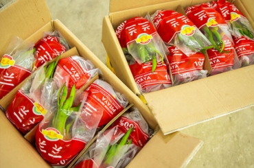 Bảo vệ sản phẩm và thương hiệu với tem nhãn dán trái cây chống hàng giả và chất lượng cao