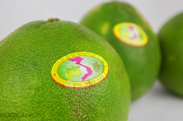 In tem nhãn dán trái cây chất lượng cao tăng cường giá trị sản phẩm và tin cậy thương hiệu