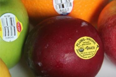 In tem dán trái cây xuất khẩu số lượng lớn 