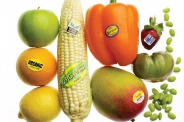 TOP mẫu in tem dán trái cây xuất khẩu 